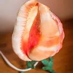 Lejlighed Uniek Zeezicht *