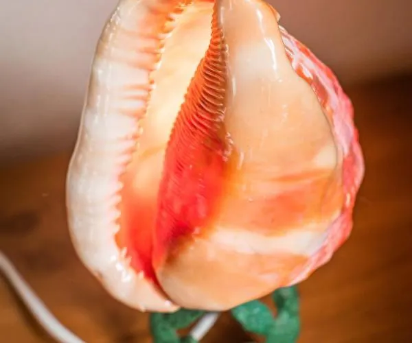 Apartment Uniek Zeezicht *