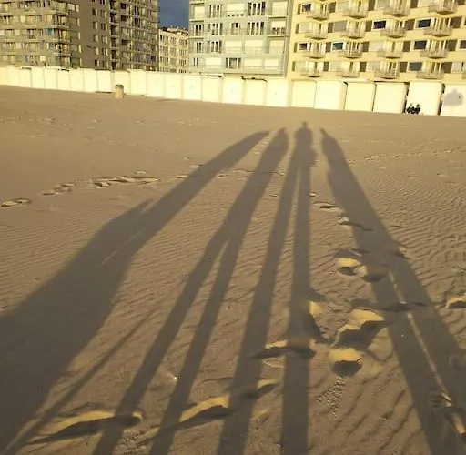 아파트 Uniek Zeezicht